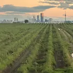 Skyline-view * غيراسدورف بي فيين