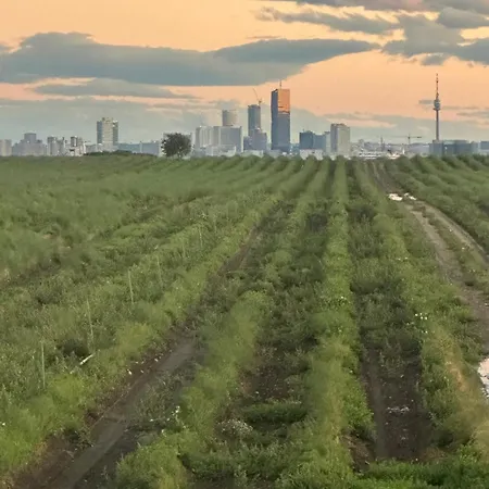 Skyline-view * גרסדורף ביי וין